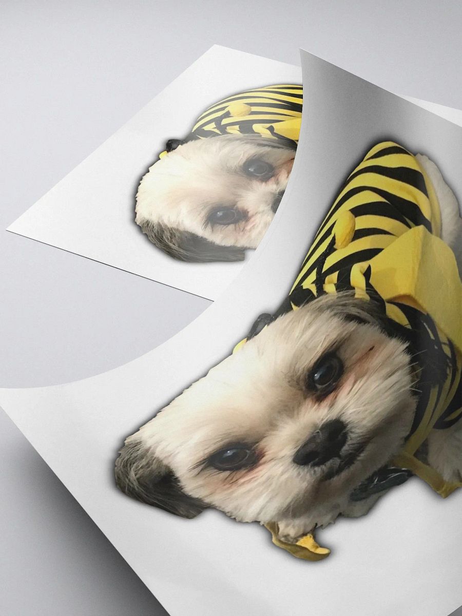 BeeBug product image (4)