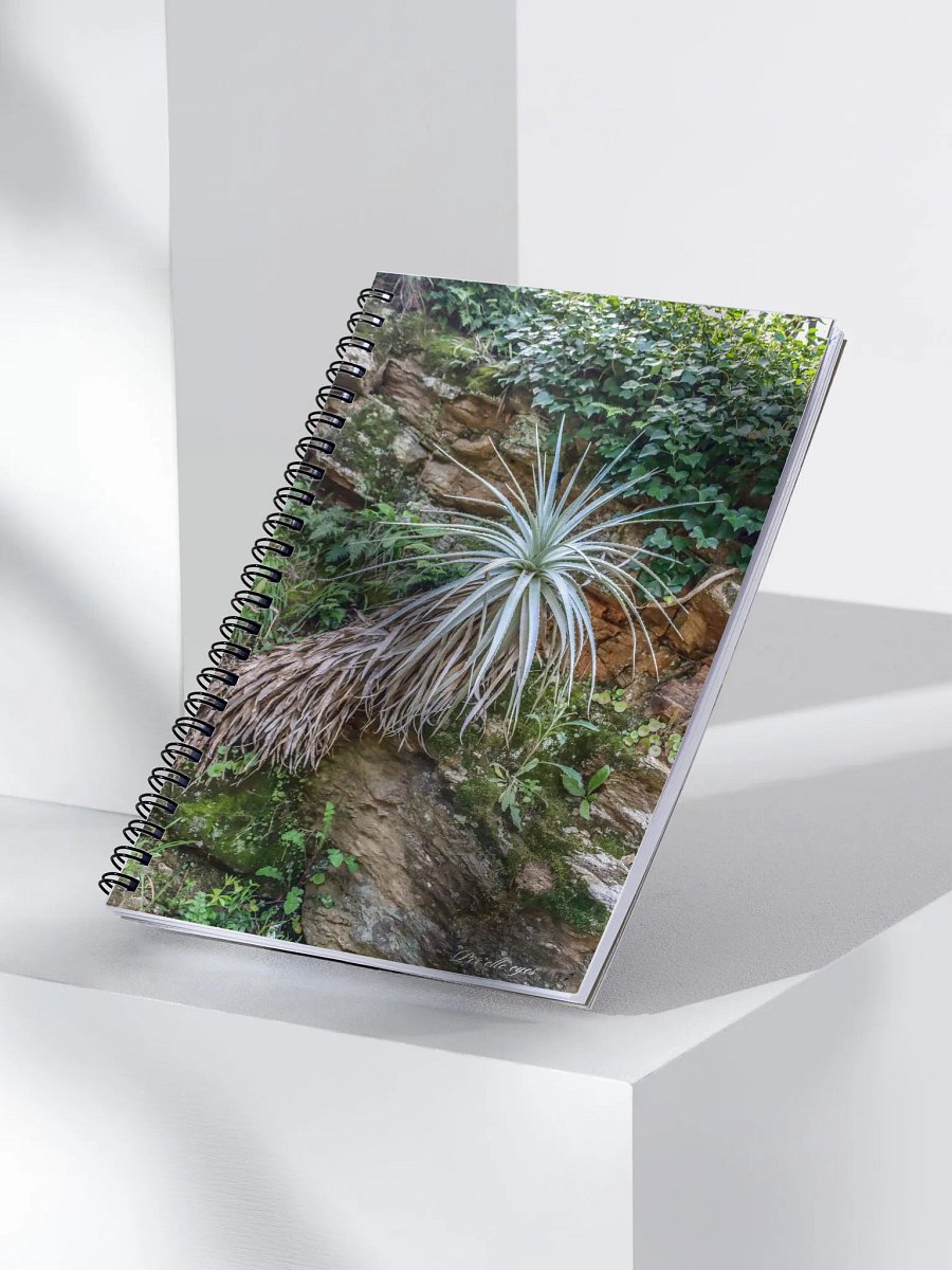 📓 Notebook Collection PURE – Jardin du Rayol – Gardienne des Roches product image (3)
