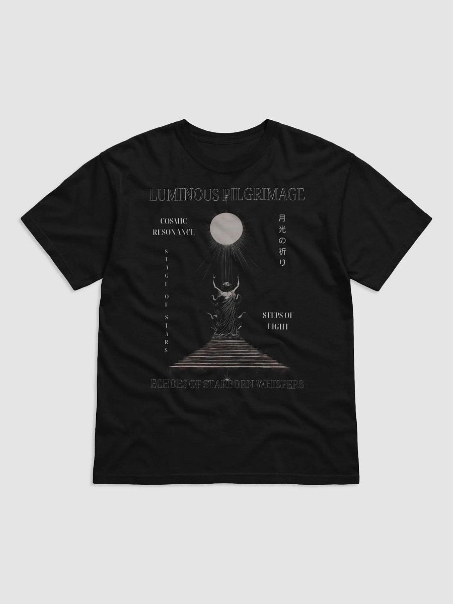 Luminous Pilgrimage Tee product image (9)