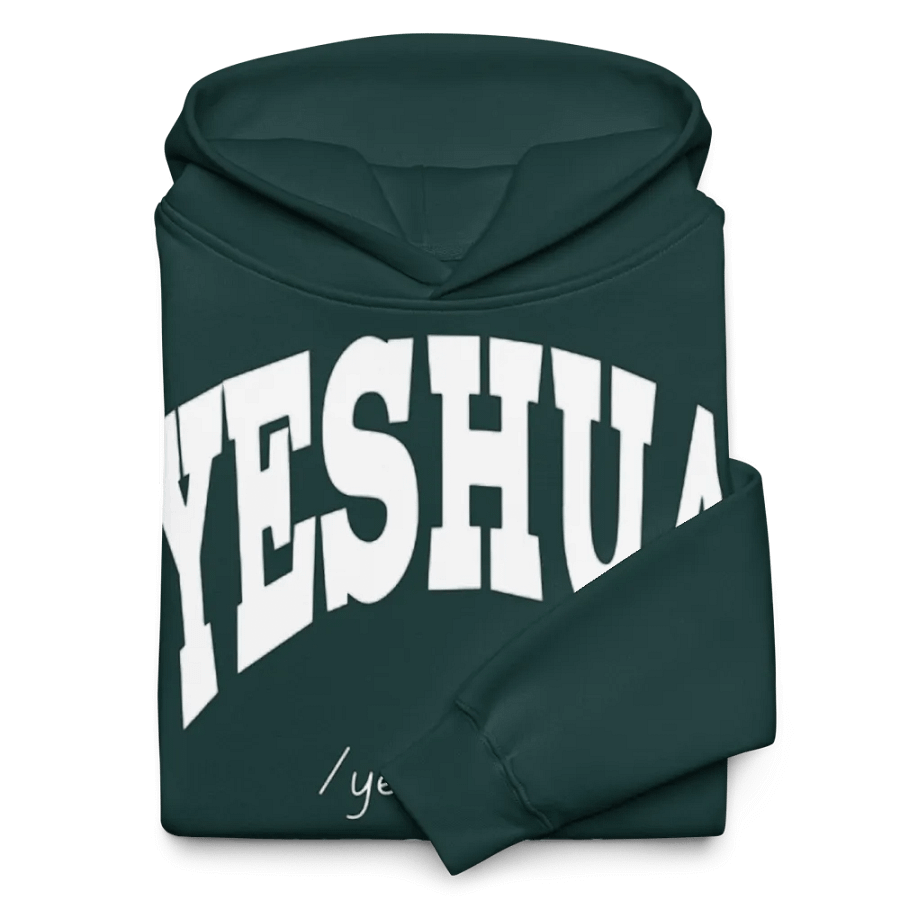 Yeshua Unisex Oversize Hoodie product image (10)