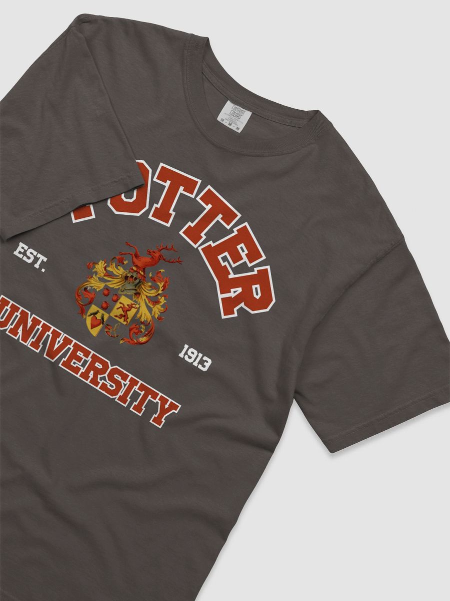Harry Vintage Magical Collegiate Shirt product image (9)