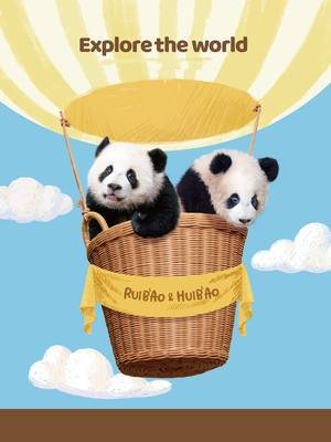 睿宝辉宝日常与情感世界，宋爷爷笔触温暖充满诗意