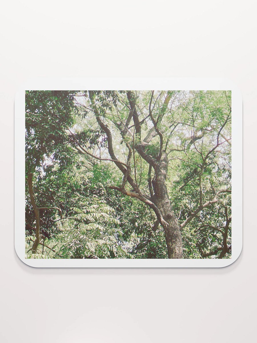 EARTH TONE MOUSE PAD product image (2)