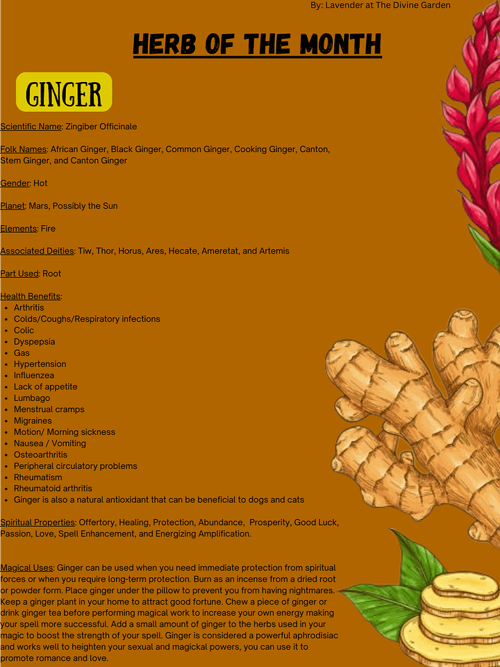 Ginger product image (1)