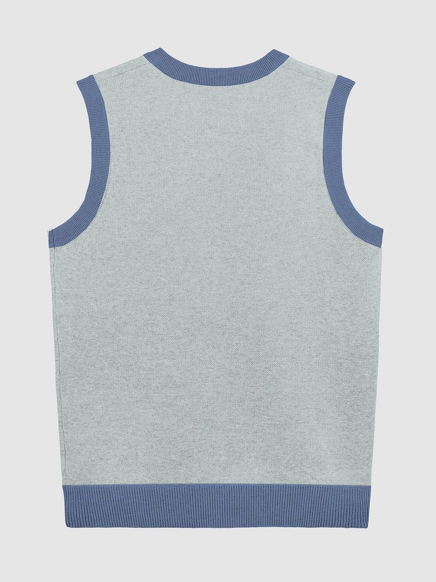 Bubbly and a B*tch (lg. design, duotone blue) knitwear vest product image (9)