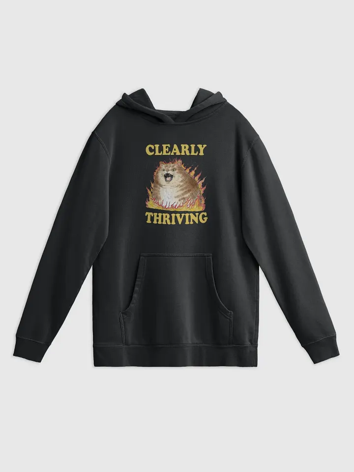 Clearly Thriving - Hoodie product image (1)