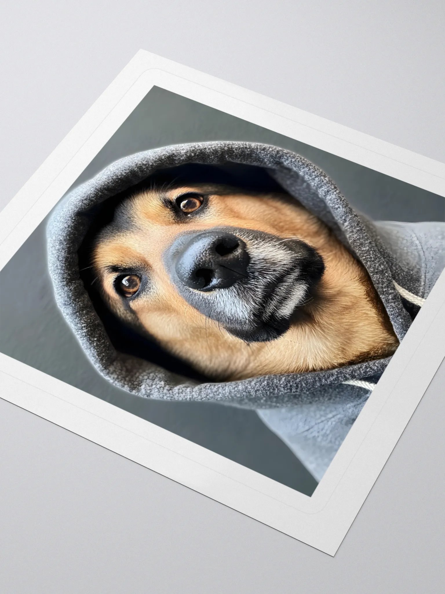 Hacker Dog product image (8)