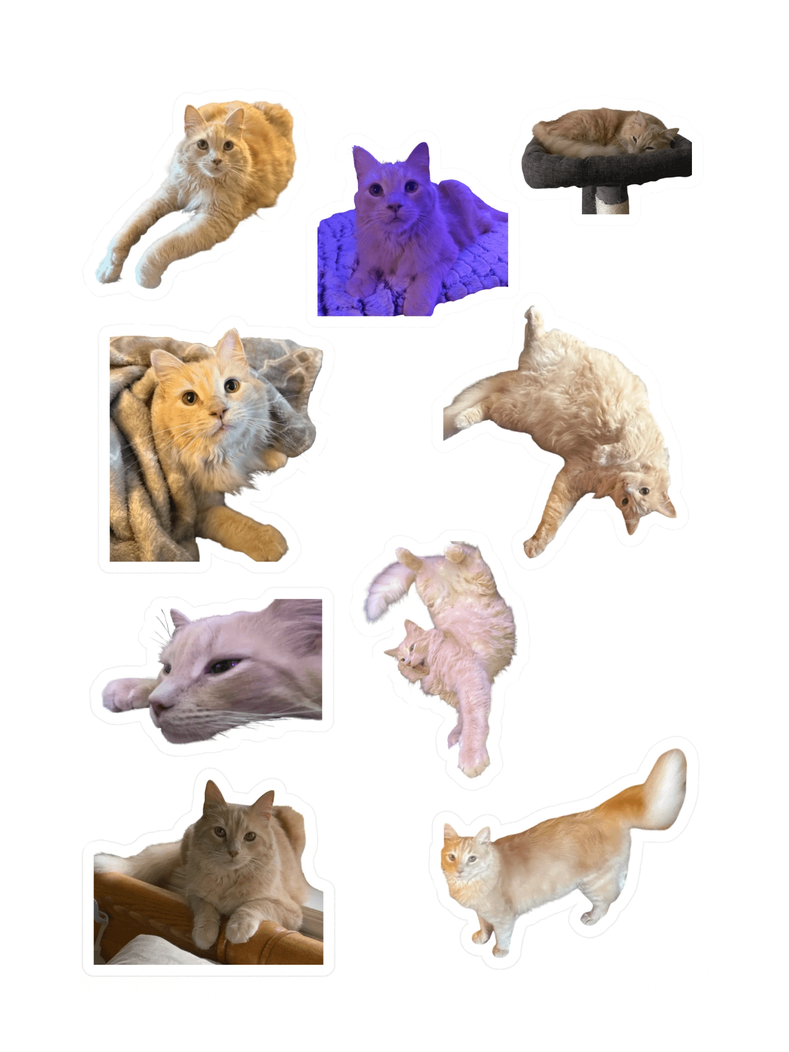 Noodle Sticker Sheet product image (3)