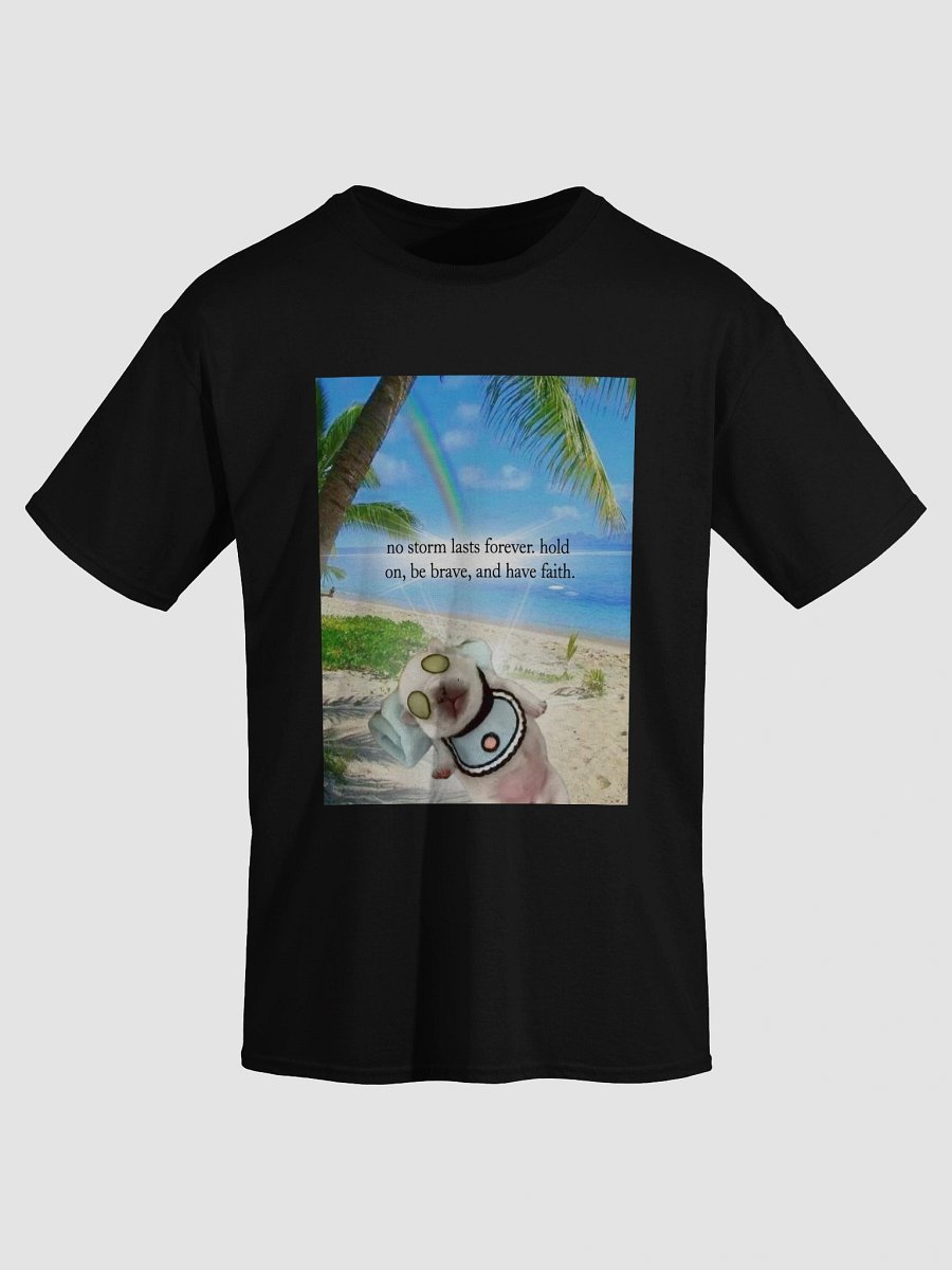 no storm lasts forever (tee shirt) product image (3)
