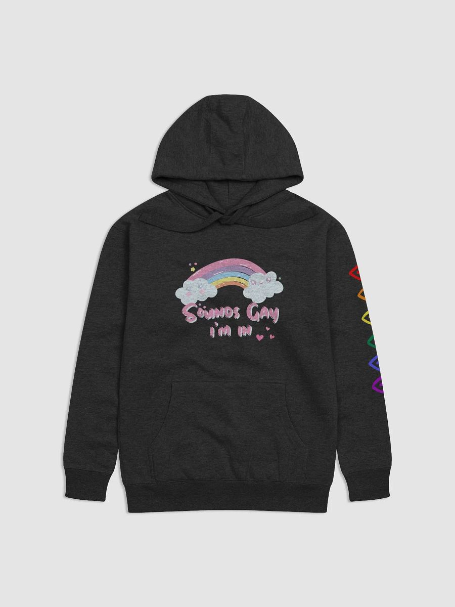 Sounds Gay Hoodie product image (1)