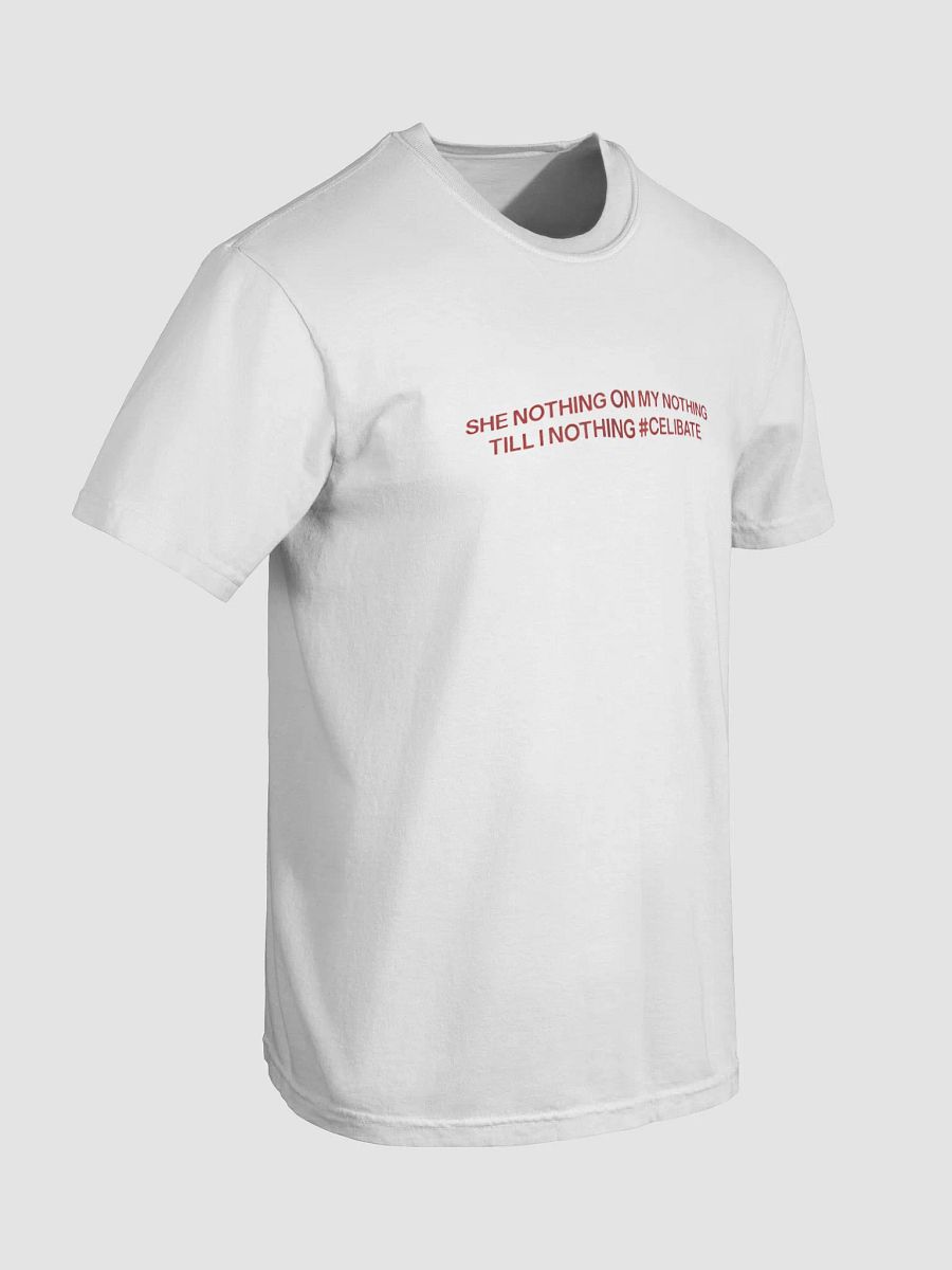 SHE NOTHING ON MY NOTHING TILL I NOTHING #CELIBATE SHIRT product image (7)