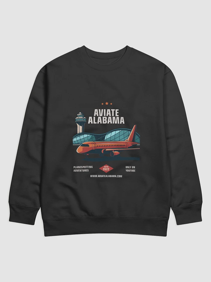 Skyward Soar Retro Aviation Sweatshirt product image (1)