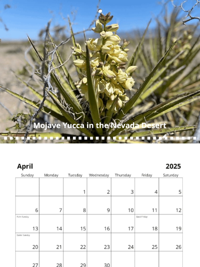 2025 Photo Calendar product image (5)