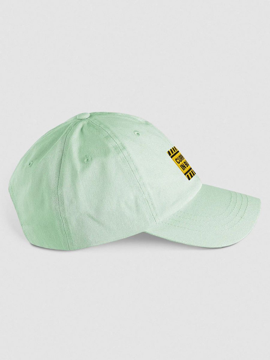 CURRENTLY IN BURNOUT pastel dad hat product image (4)