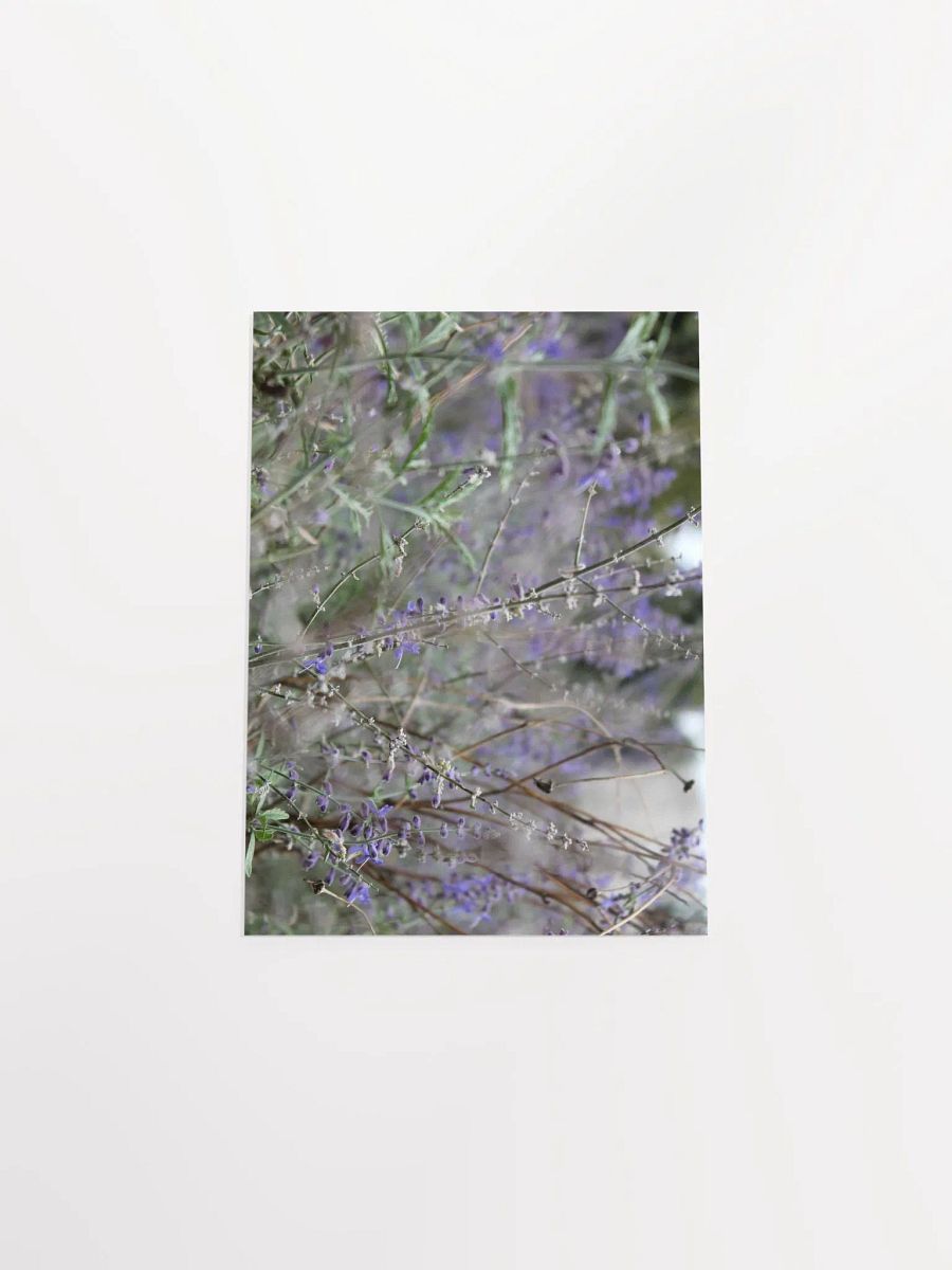 A Study in Flowers 13 product image (43)