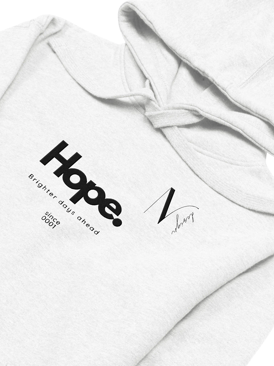 Cozy Comfort Unisex Hoodie product image (13)