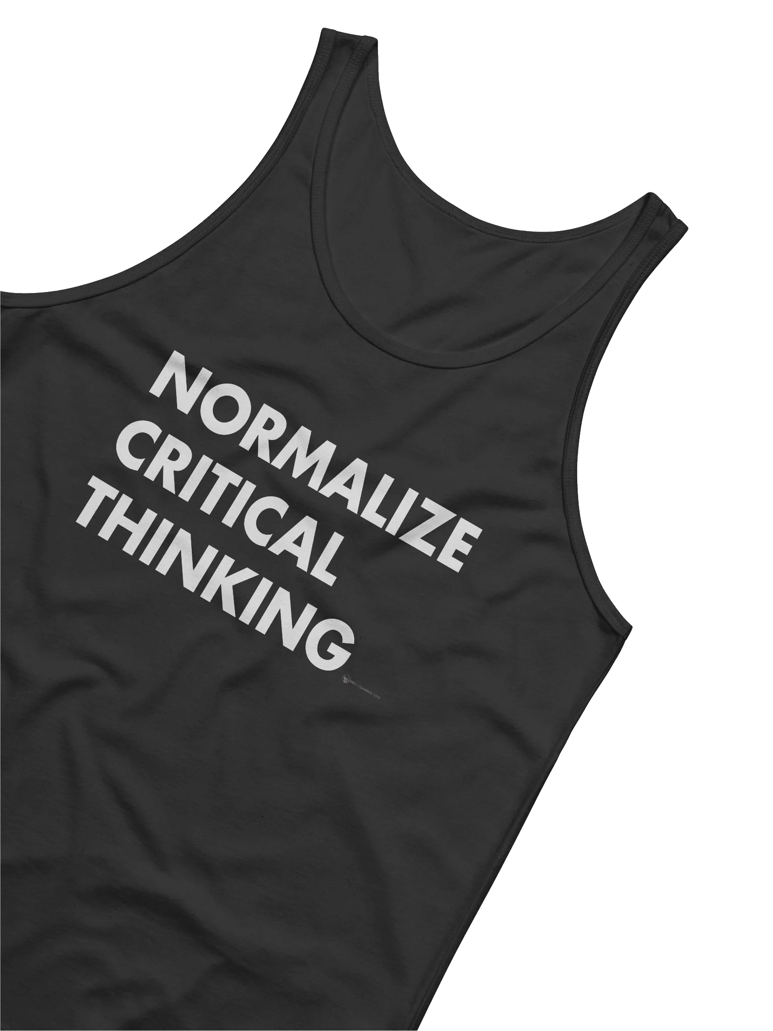 Normalize Critical Thinking product image (4)