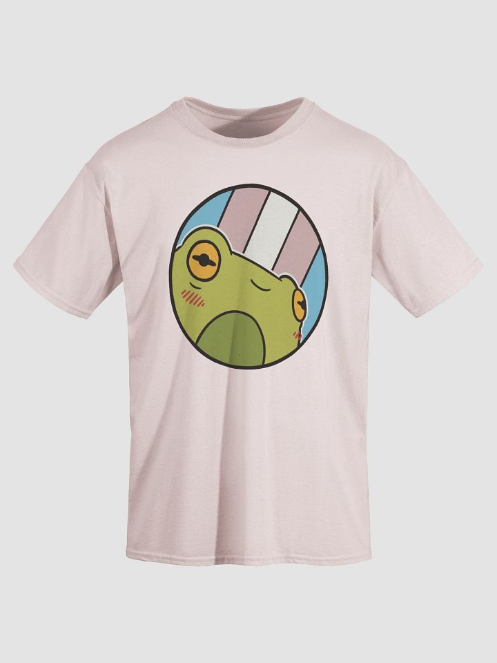 t-shirt : froge transgender product image (2)
