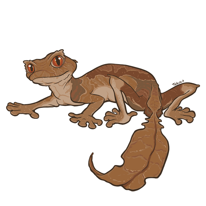 Satanic Leaf-Tailed Gecko Sticker product image (1)