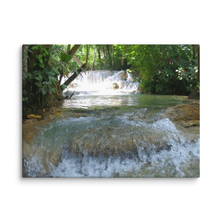 Nature's Canvas product image (3)