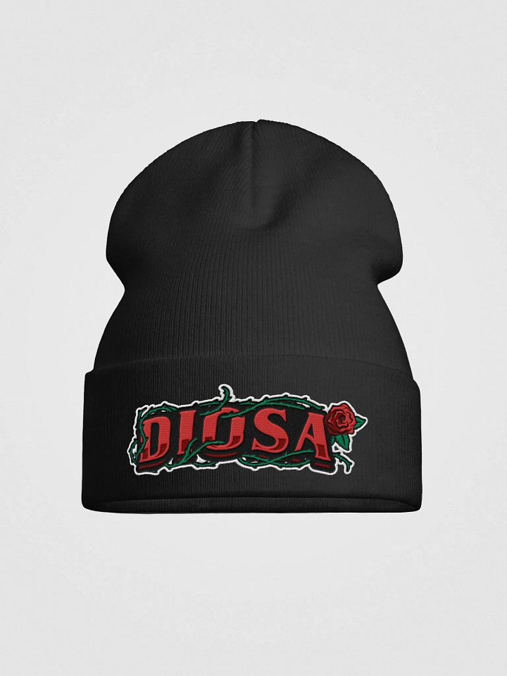 Diosa Otto Knit Beanie product image (1)