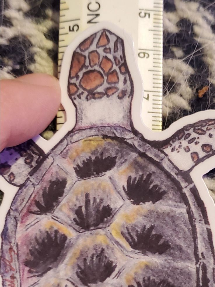 Die Cut Sea Turtle Sticker product image (3)