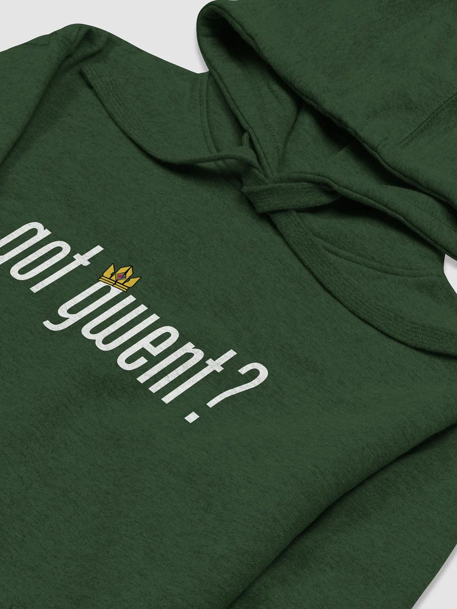 Got Gwent? Hoodie product image (4)
