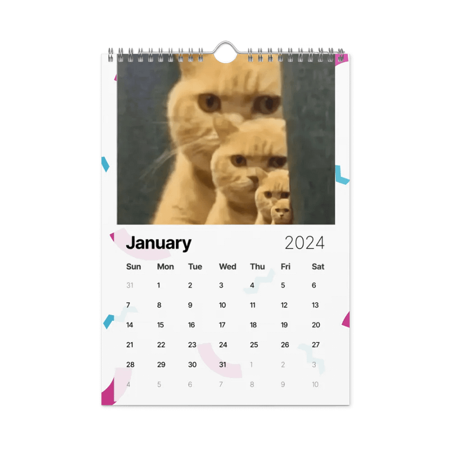Wall Calendar (2024): Meme Cats product image (8)
