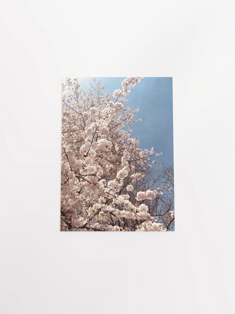 Primavera - Enhanced Matte Paper Poster product image (4)