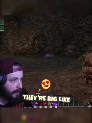 Scouting ahead for the homies #dungeonsofsundaria #twitch
