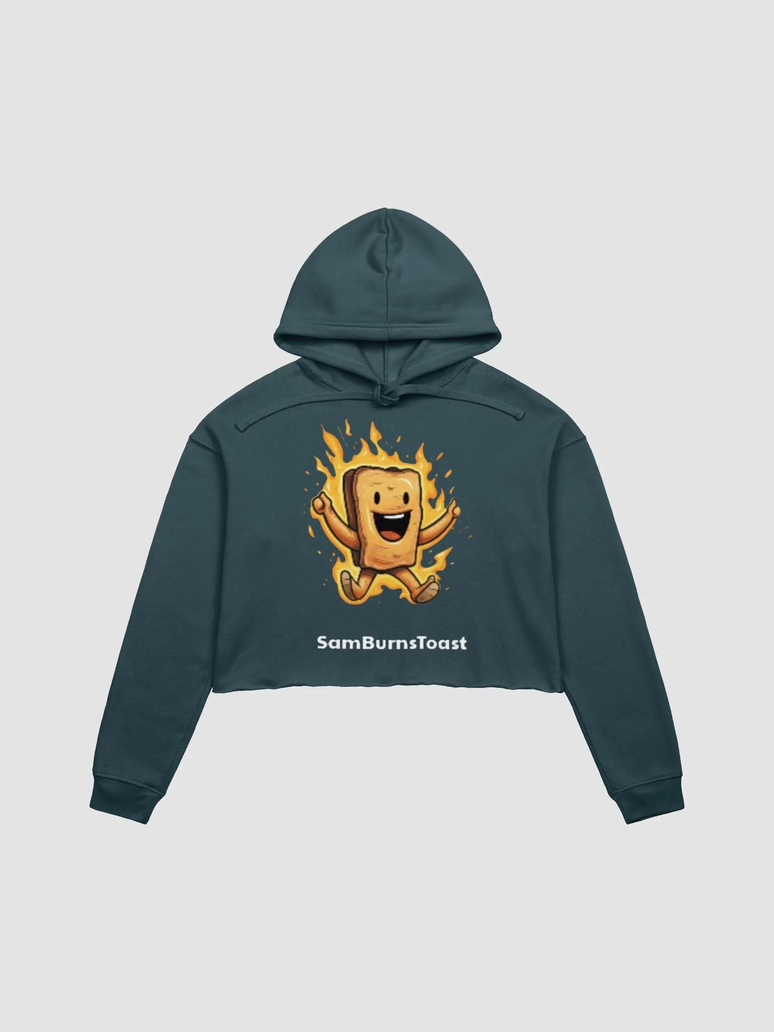 Toasty Cropped Hoodie product image (3)