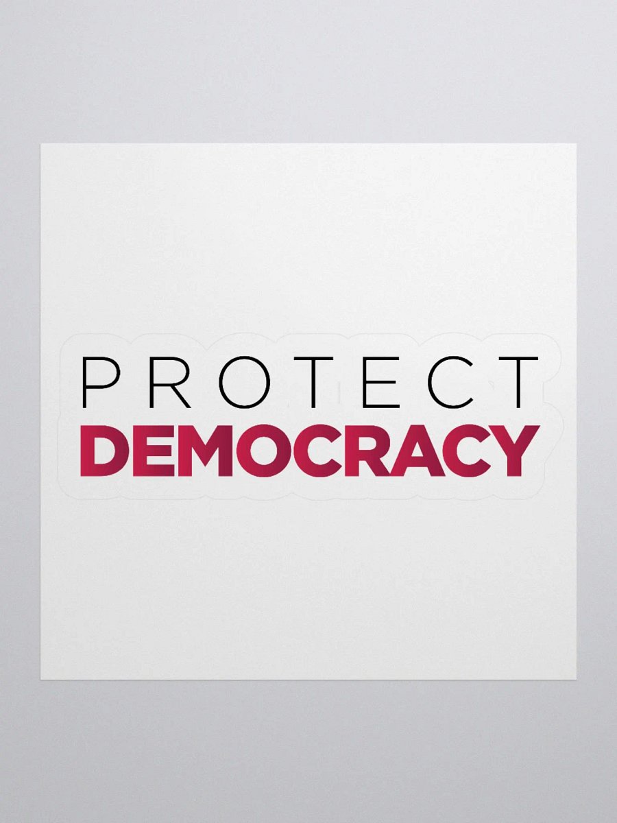 "Protect Democracy" Kiss Cut Sticker product image (1)