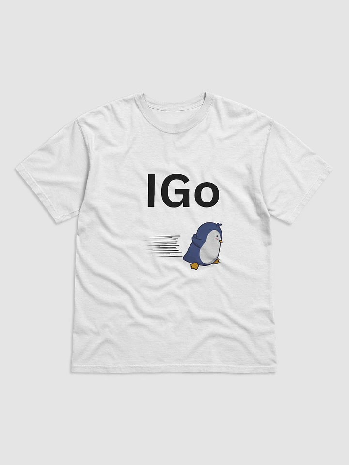 IGo product image (1)