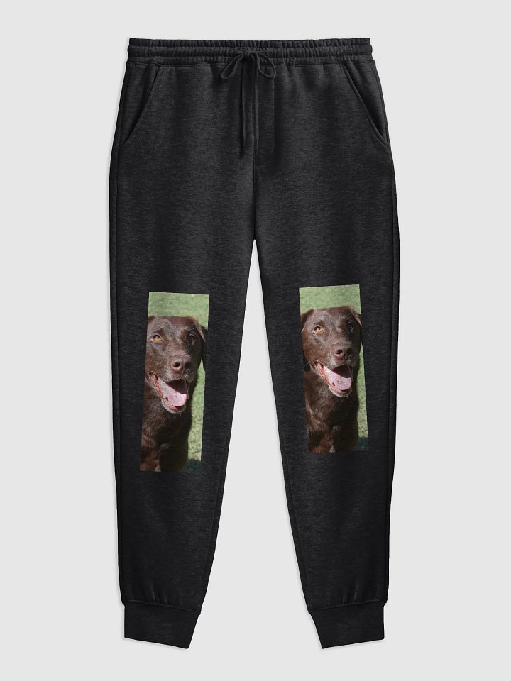 winter dog product image (1)