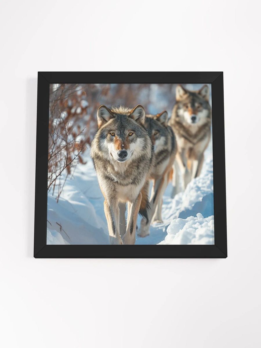 Wolf Pack in Snow: Majestic Winter Scene product image (4)