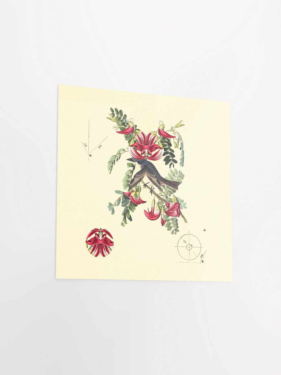 Bird Botanical Dadaism Poster product image (5)
