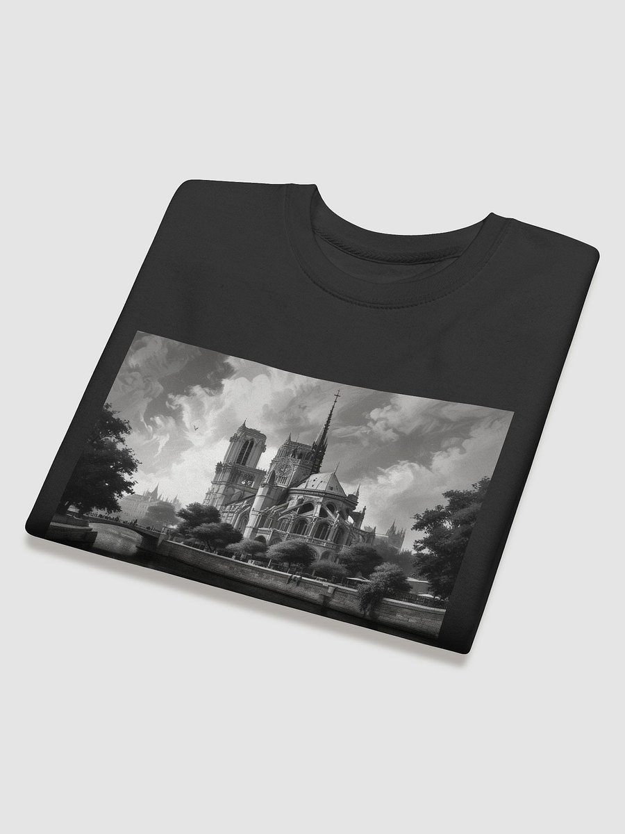 notre dame de paris product image (32)
