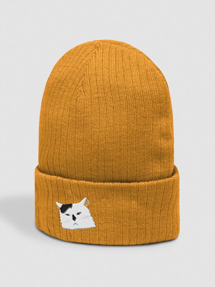 Beanie Beanie (Grump) product image (16)
