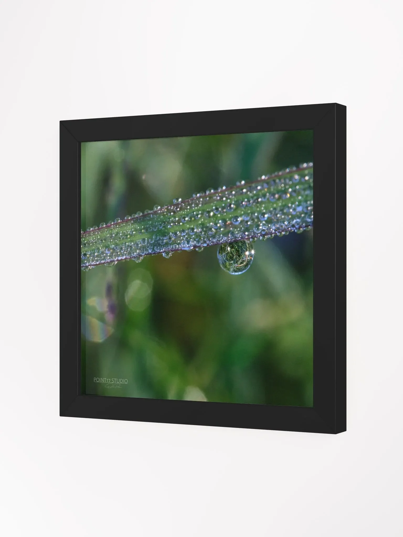 Dew Gems #3 - Framed Print product image (2)