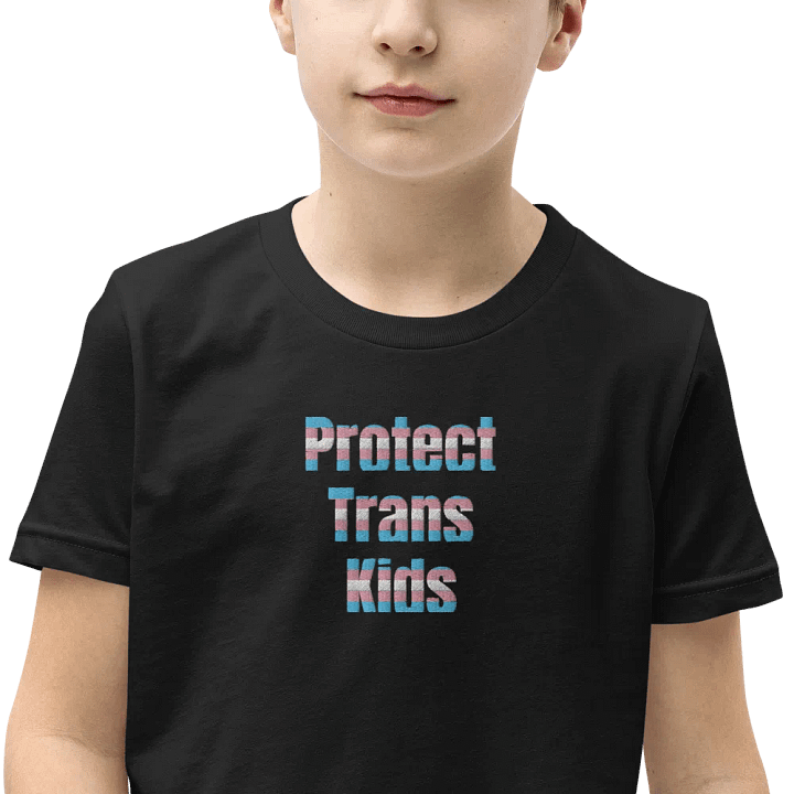 Protect Trans Kids Shirt - Kids product image (1)