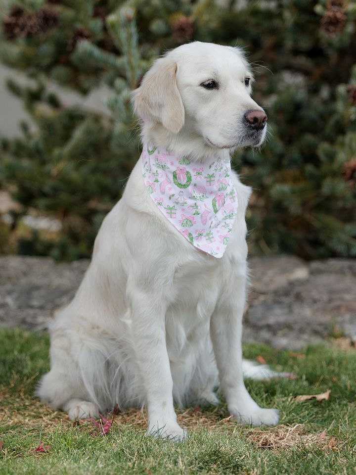 Pink Holiday Scene Bandana product image (1)