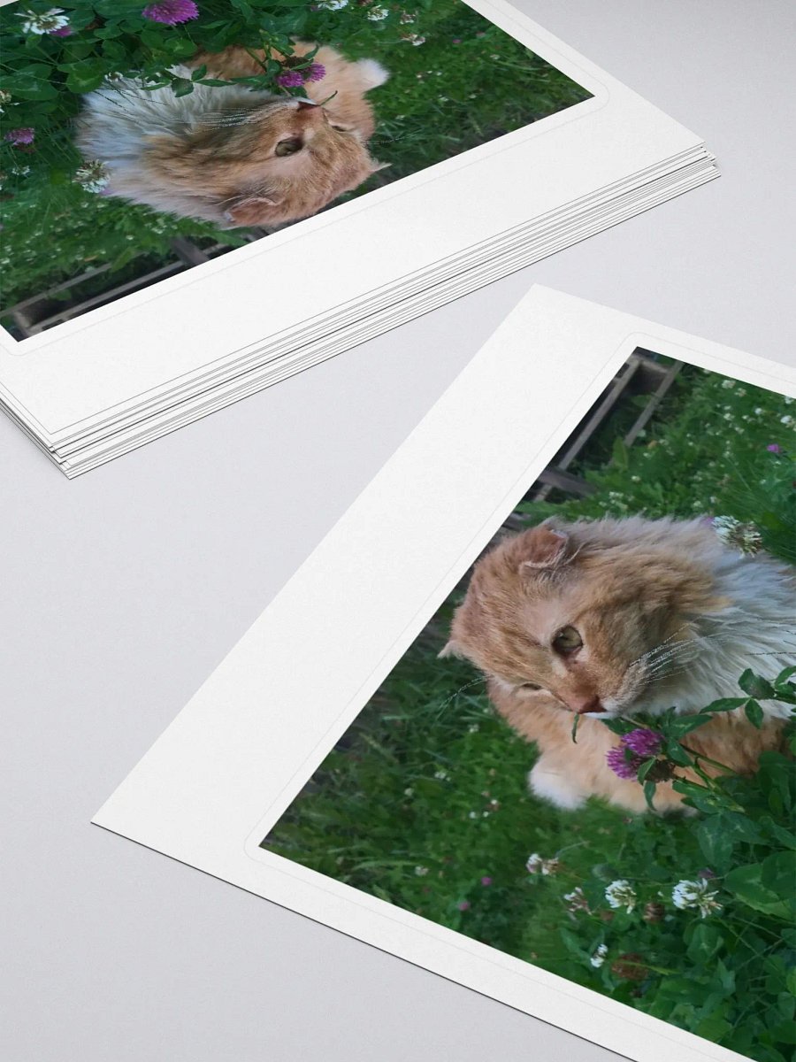 Clover Field Boy Sticker product image (4)
