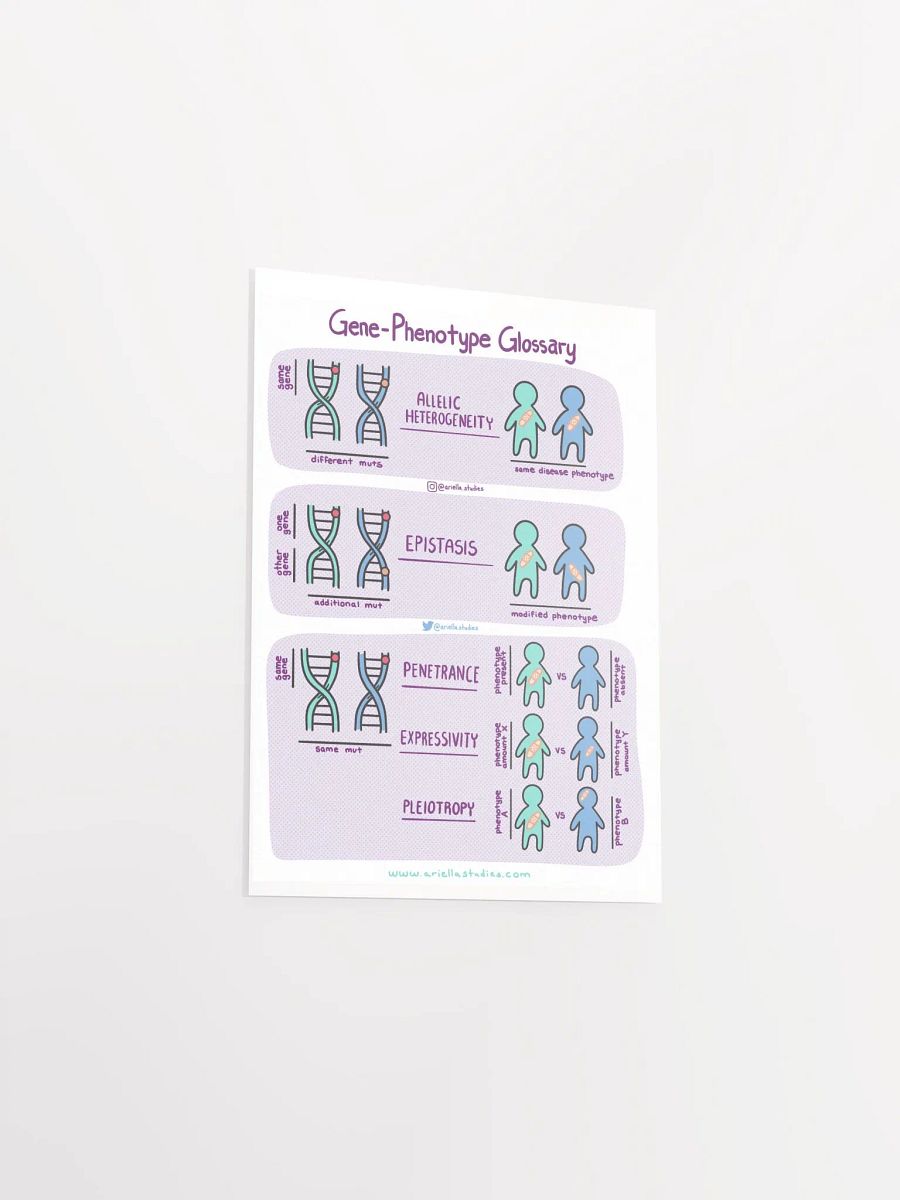 Gene-Phenotype Poster product image (3)