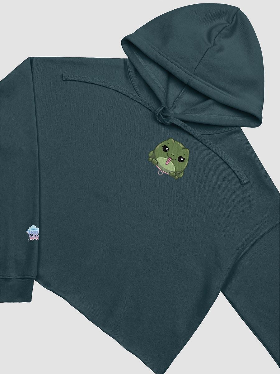 Frog Cropped Hoodie product image (23)