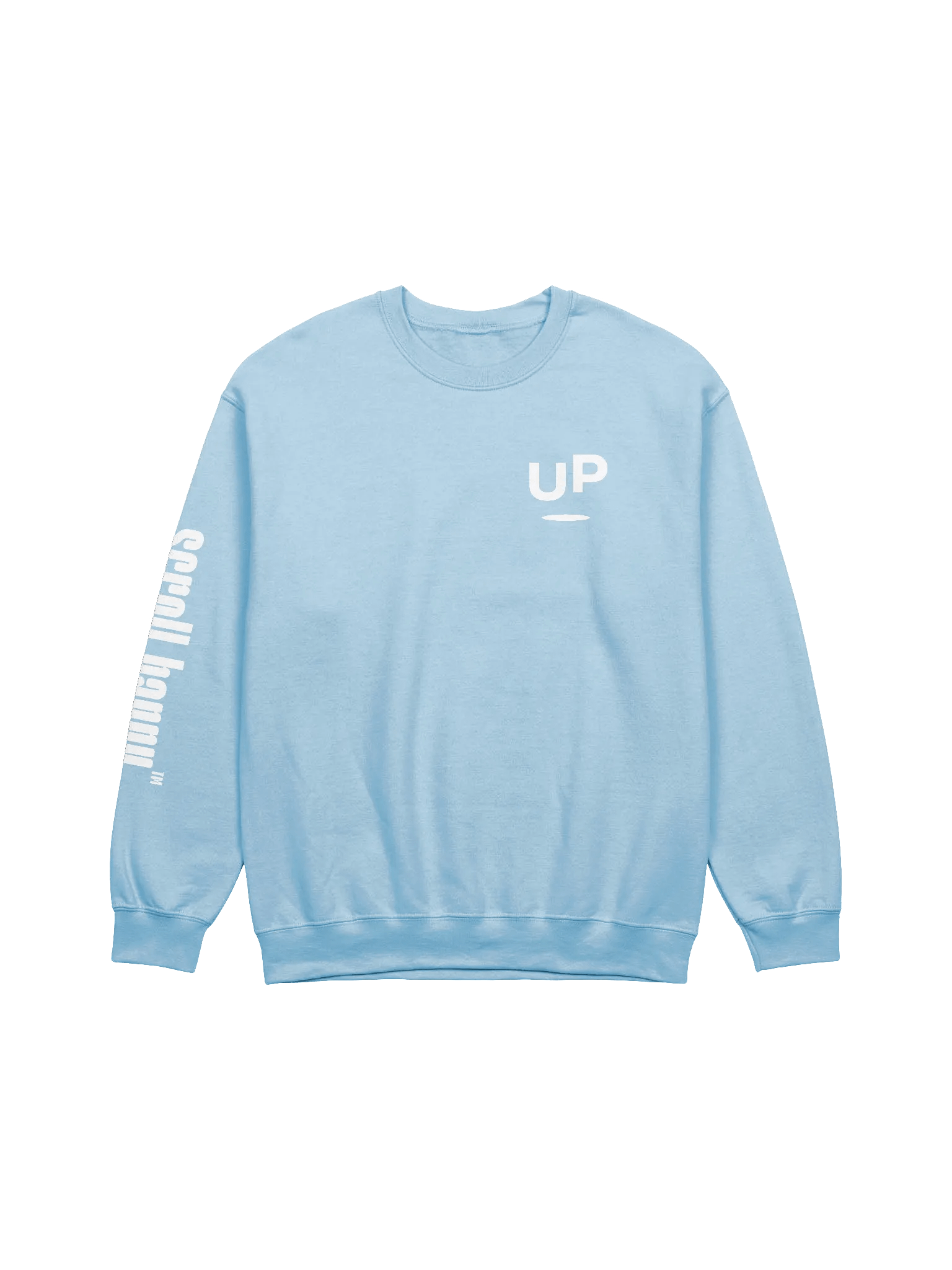 UP Sweatshirt product image (1)