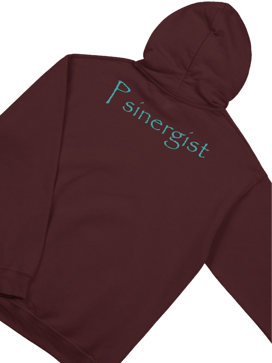 Psinergist Logo Hoodie Front and Back product image (4)