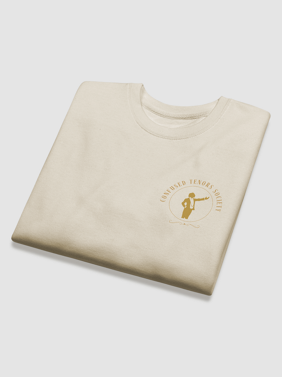 CTS Lane Premium Sweatshirt product image (4)