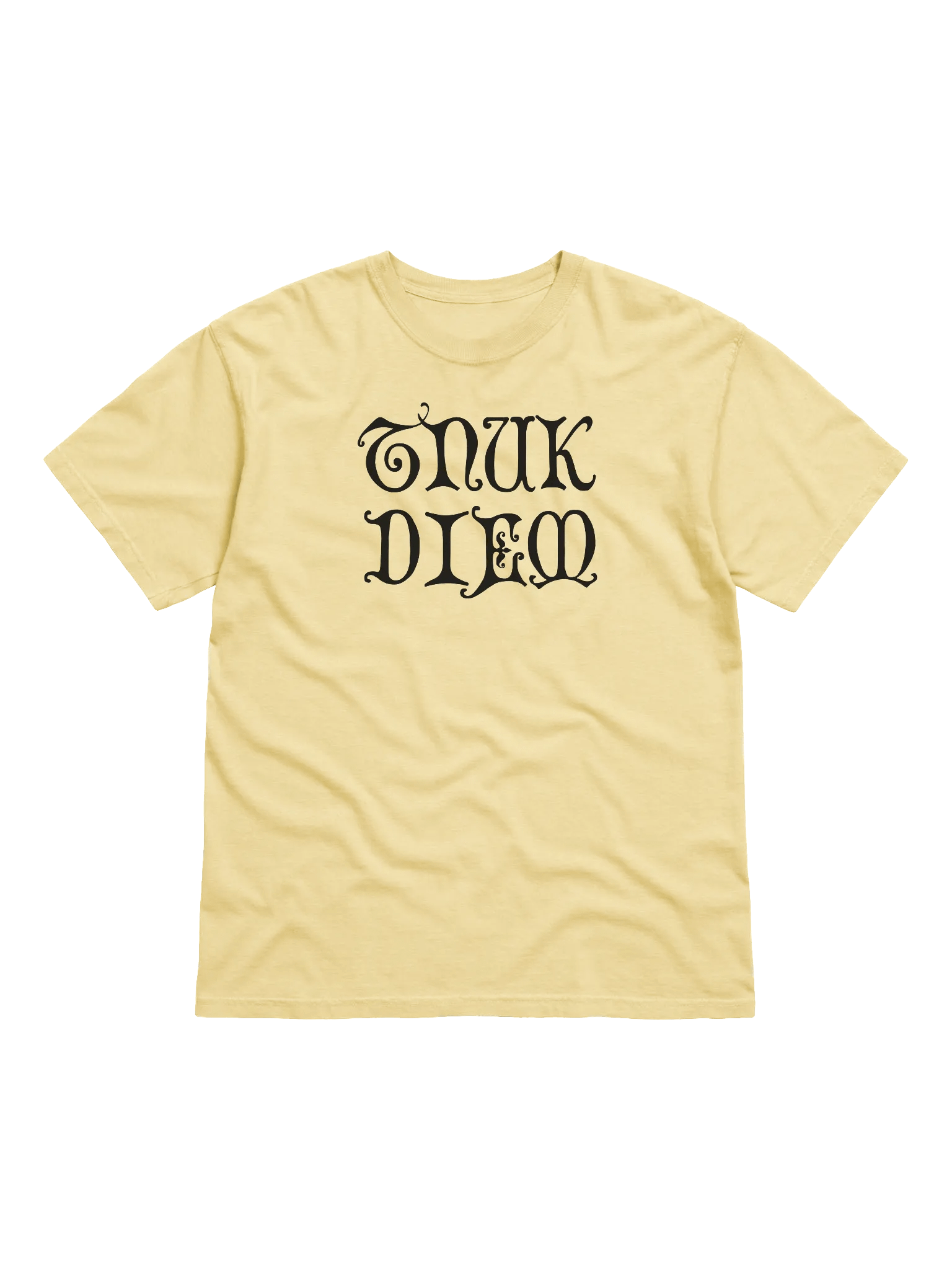 TNUK DIEM - HEAVYWEIGHT T-SHIRT product image (6)