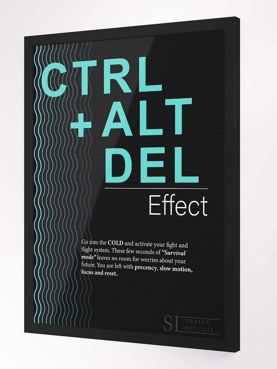 CTRL+ALT+DEL black product image (2)