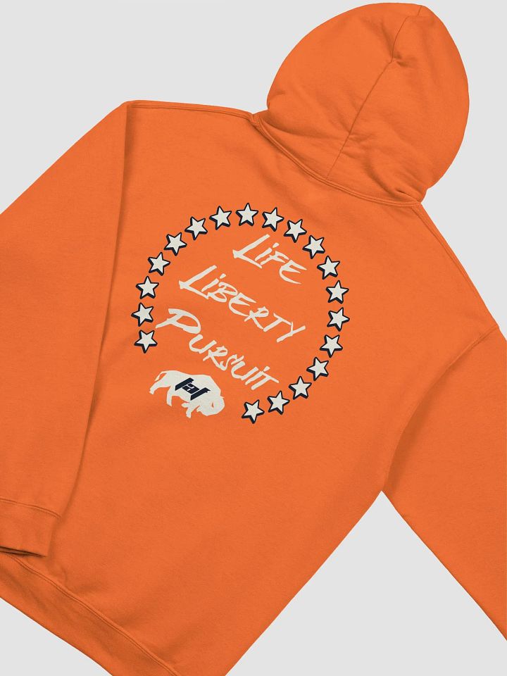 Life, Liberty, Pursuit Hoodie product image (55)
